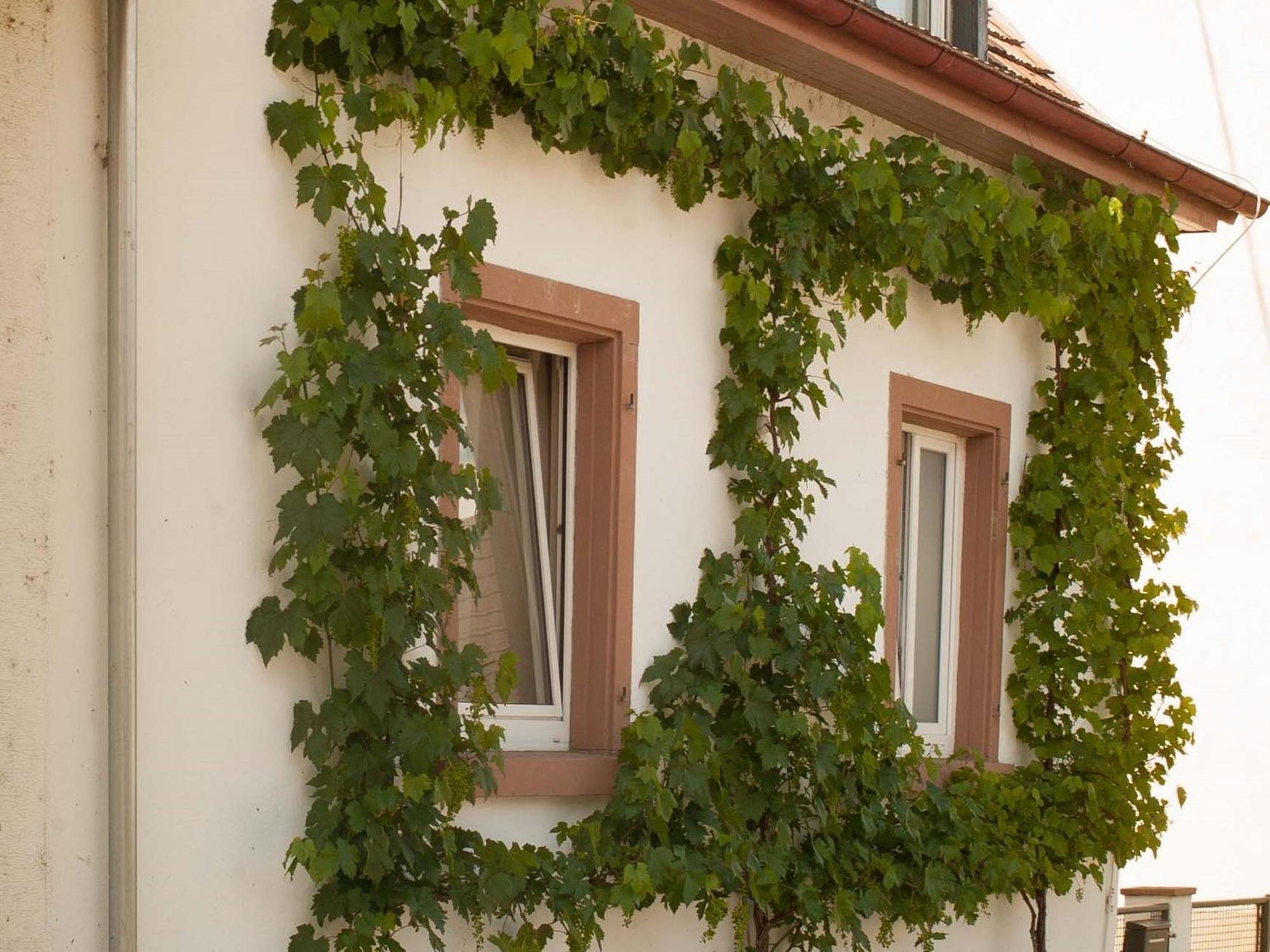 Ferienhaus am Künstleratelier Riegel Exterior foto